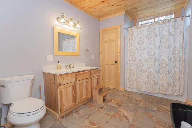 26 Christen Rd, Kingfield, ME 04947 - bathroom with wood ceiling, stone tile flooring, toilet, vanity, and a shower with shower curtain