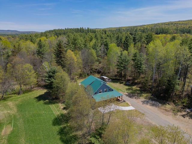 26 Christen Rd, Kingfield, ME 04947 - view of subject property with a heavily wooded area