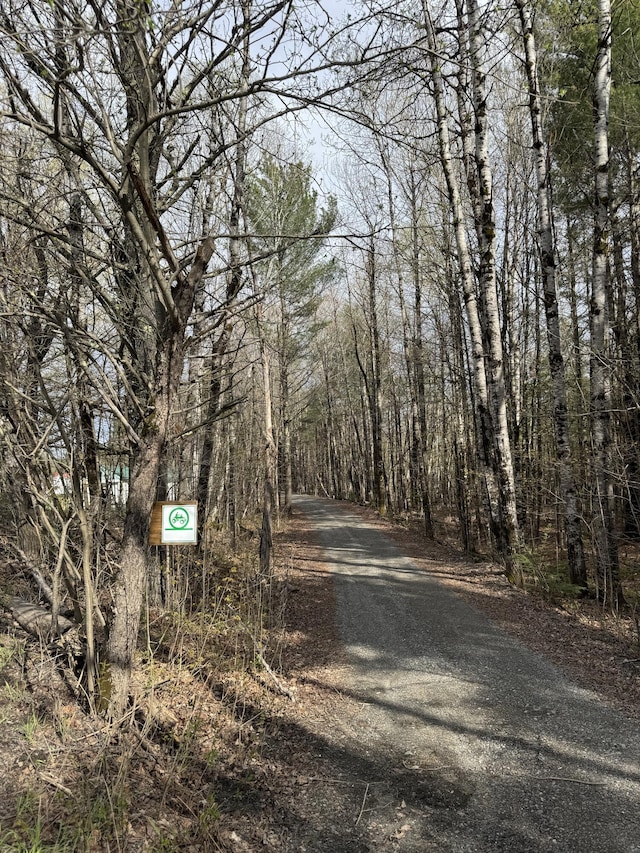 7 Howard Siding Ln, Abbot, ME 04406 - view of road with a forest view