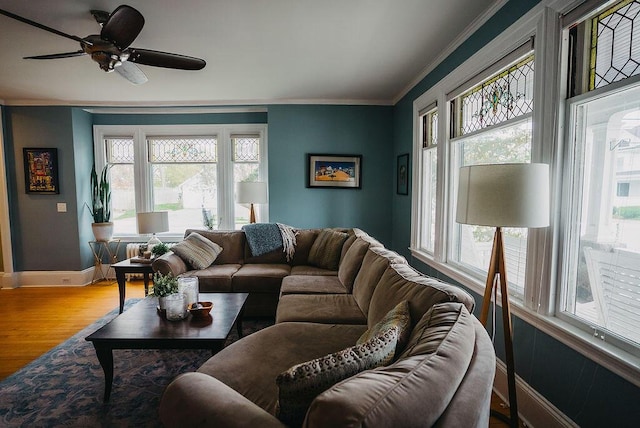 107 Maple St, Bangor, ME 04401 - living area with crown molding, baseboards, wood finished floors, and ceiling fan