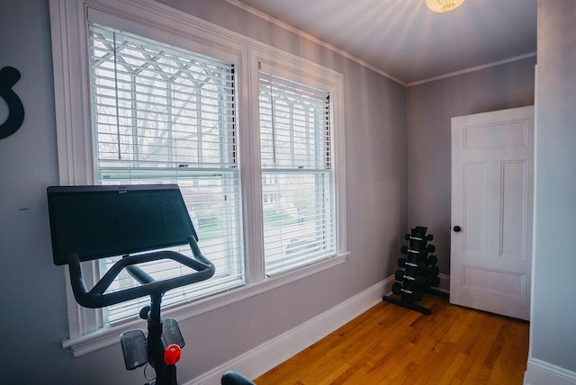 107 Maple St, Bangor, ME 04401 - exercise area with wood finished floors, healthy amount of natural light, baseboards, and ornamental molding
