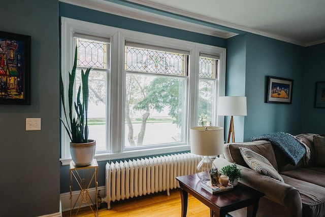 107 Maple St, Bangor, ME 04401 - living room with radiator heating unit, plenty of natural light, light wood-style floors, and ornamental molding
