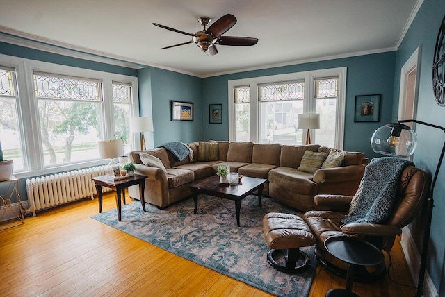 107 Maple St, Bangor, ME 04401 - living area featuring radiator, plenty of natural light, ceiling fan, wood-type flooring, and crown molding