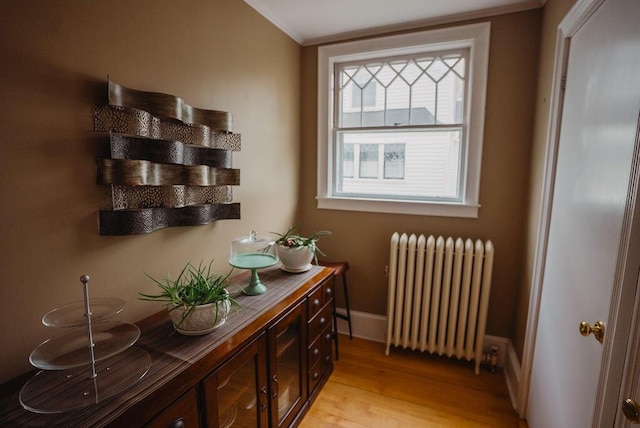 107 Maple St, Bangor, ME 04401 - doorway to outside with radiator, light wood-style floors, and ornamental molding