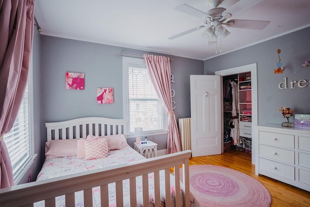 107 Maple St, Bangor, ME 04401 - bedroom with a spacious closet, ornamental molding, light wood-style floors, radiator, and a closet