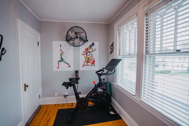107 Maple St, Bangor, ME 04401 - workout room with light wood-style floors, baseboards, and crown molding