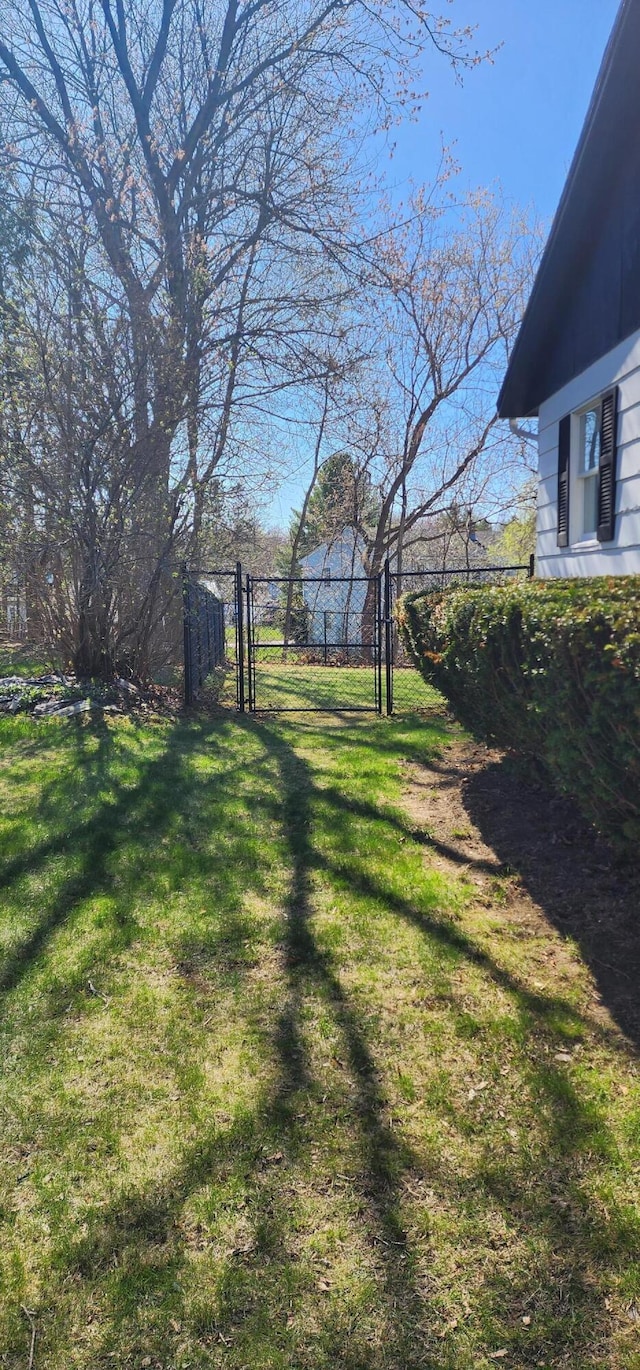 view of yard featuring a gate