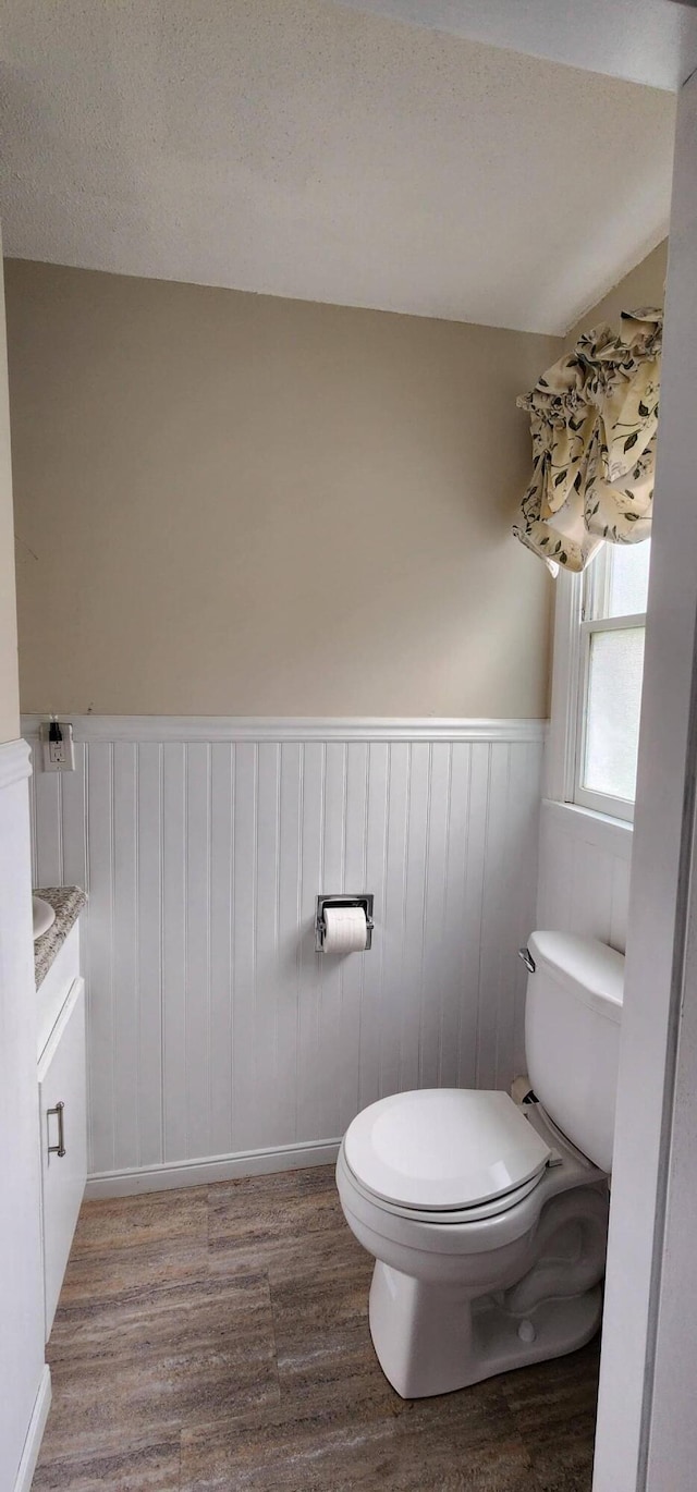 400 Birch St, Bangor, ME 04401 - bathroom with toilet, wood finished floors, wainscoting, and vanity