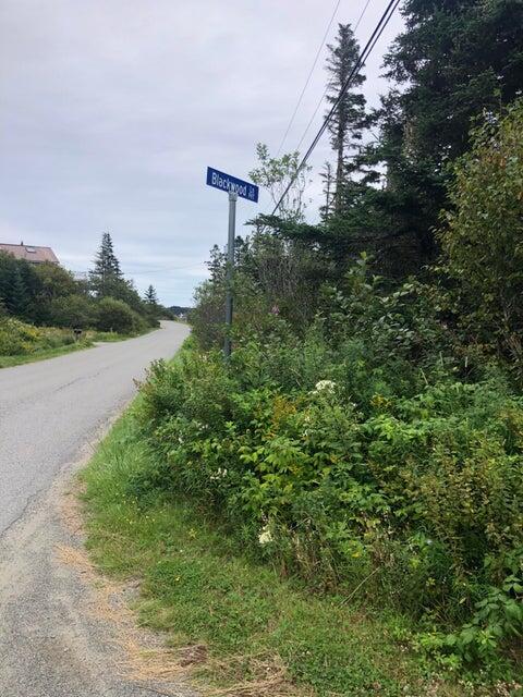 0 Blackwood Ln, Lubec, ME 04652 - photo 13