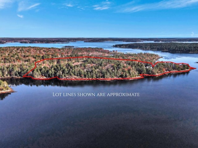 aerial view of property and surrounding area with a large body of water, property boundaries highlighted, and a heavily wooded area
