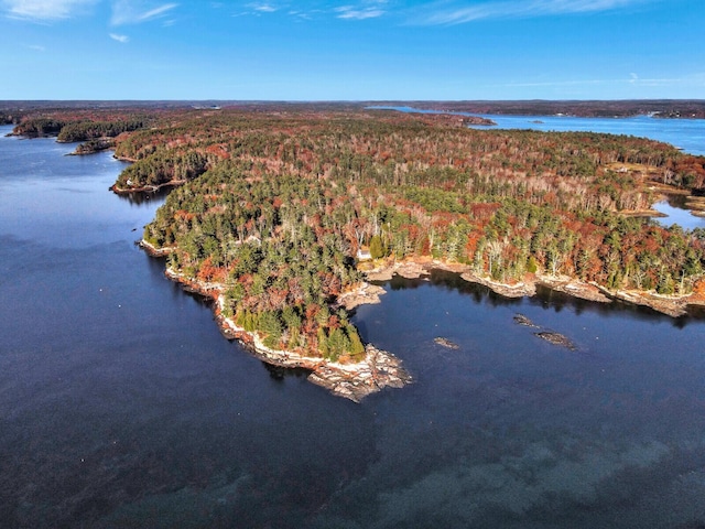 aerial overview of property's location featuring a forest and a nearby body of water