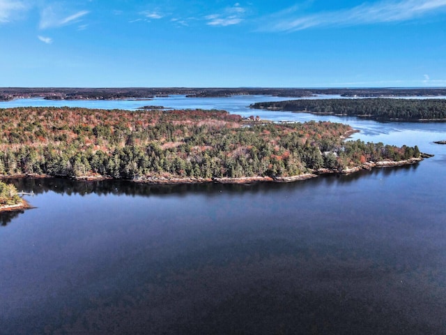 bird's eye view of a nearby body of water and a forest