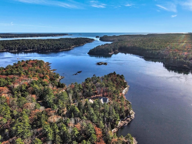 aerial view of a heavily wooded area and a nearby body of water