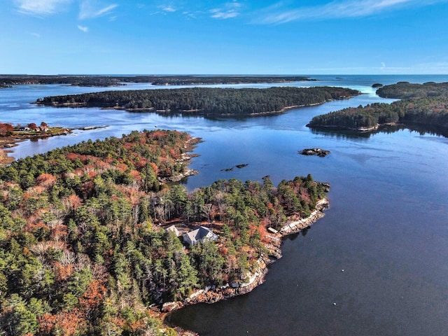 bird's eye view of a large body of water and a heavily wooded area