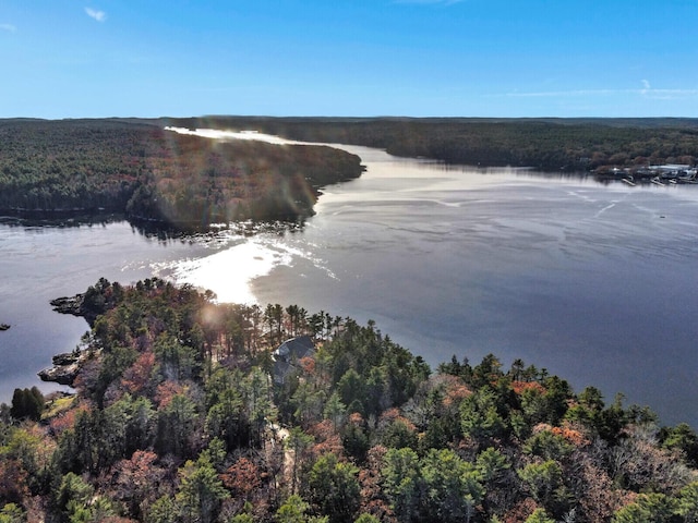 view of property location with a heavily wooded area and a nearby body of water