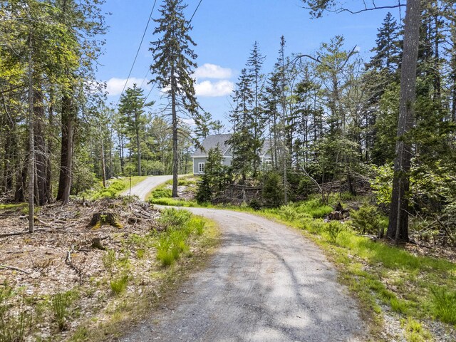92 Brooks Cove Rd, Westport Island, ME 04578 - view of dirt / gravel driveway