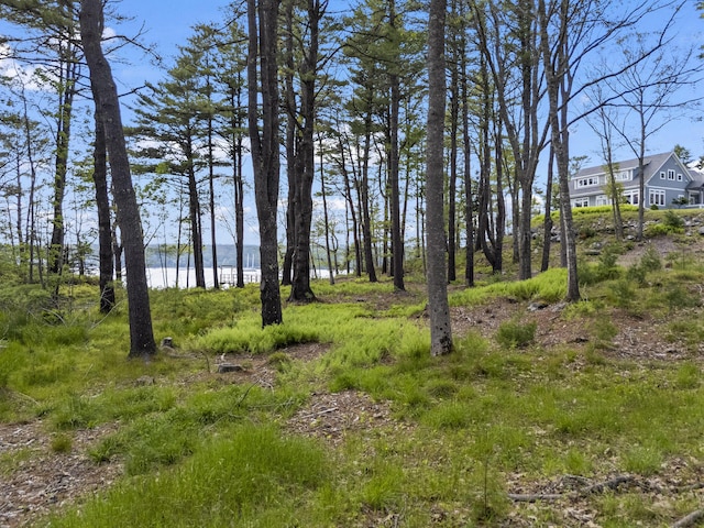 92 Brooks Cove Rd, Westport Island, ME 04578 - view of local wilderness featuring a nearby body of water