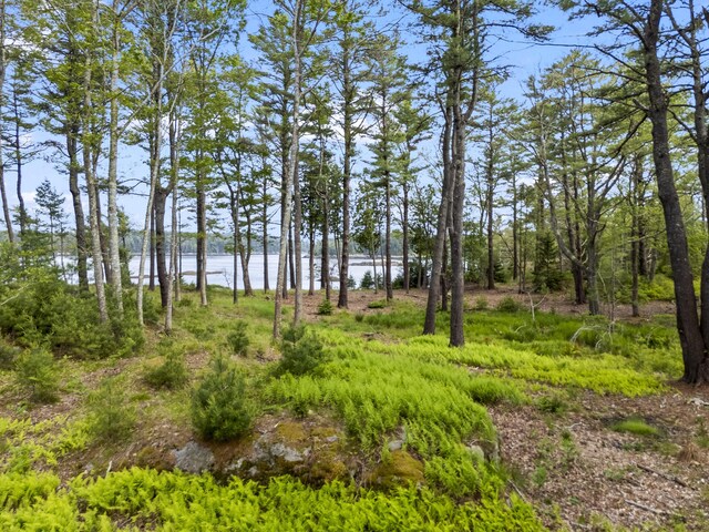 92 Brooks Cove Rd, Westport Island, ME 04578 - view of yard featuring a water view
