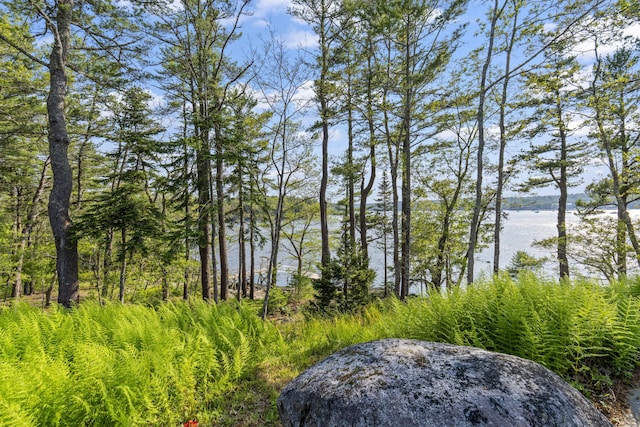 92 Brooks Cove Rd, Westport Island, ME 04578 - water view