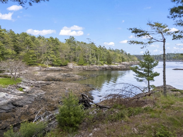 92 Brooks Cove Rd, Westport Island, ME 04578 - water view with a heavily wooded area