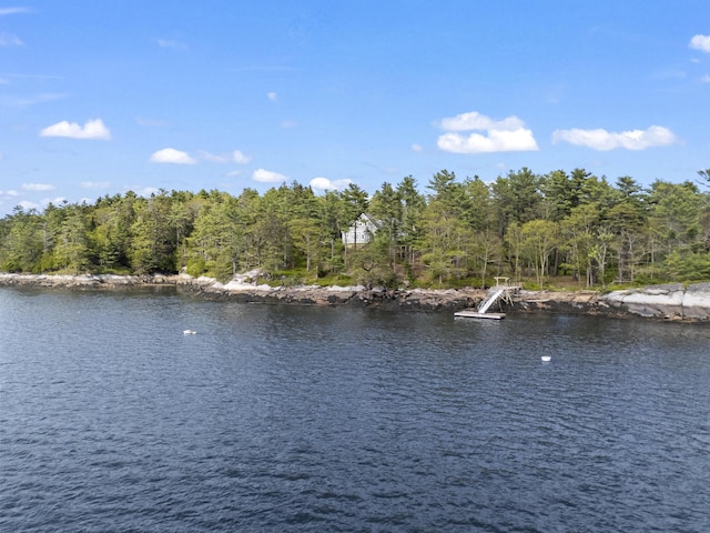 92 Brooks Cove Rd, Westport Island, ME 04578 - water view featuring a boat dock