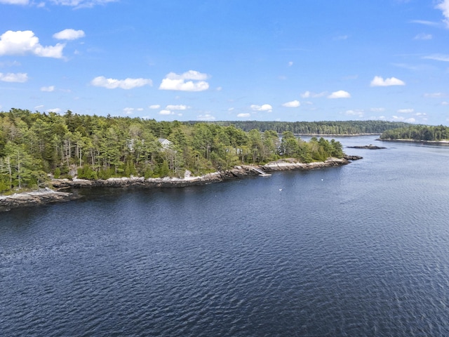 92 Brooks Cove Rd, Westport Island, ME 04578 - water view featuring a forest