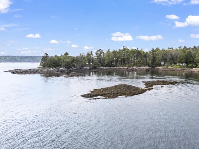 92 Brooks Cove Rd, Westport Island, ME 04578 - water view