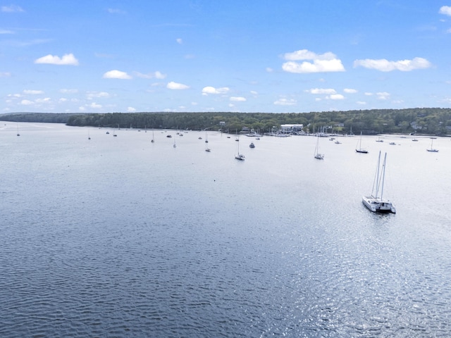 92 Brooks Cove Rd, Westport Island, ME 04578 - water view