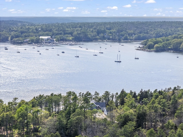 92 Brooks Cove Rd, Westport Island, ME 04578 - bird's eye view of a forest and a large body of water