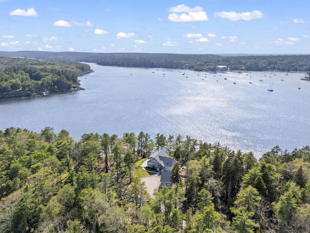92 Brooks Cove Rd, Westport Island, ME 04578 - view of subject property featuring a large body of water and a forest