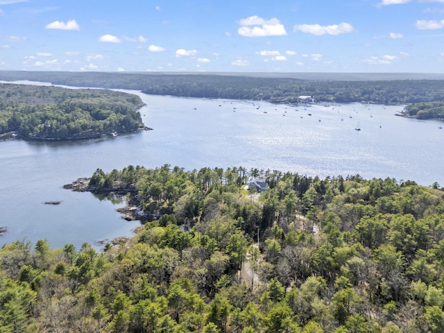 92 Brooks Cove Rd, Westport Island, ME 04578 - bird's eye view of a heavily wooded area and a large body of water