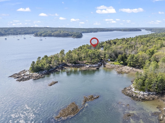 92 Brooks Cove Rd, Westport Island, ME 04578 - drone / aerial view of a large body of water and a forest