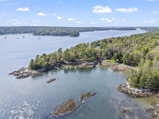 92 Brooks Cove Rd, Westport Island, ME 04578 - water view with a heavily wooded area