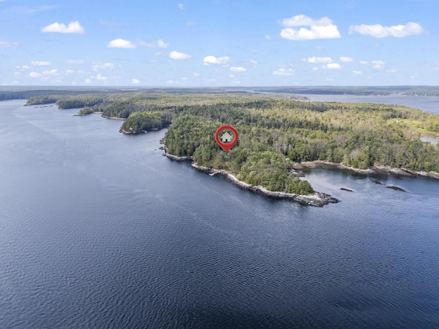 92 Brooks Cove Rd, Westport Island, ME 04578 - drone / aerial view of a forest and a large body of water