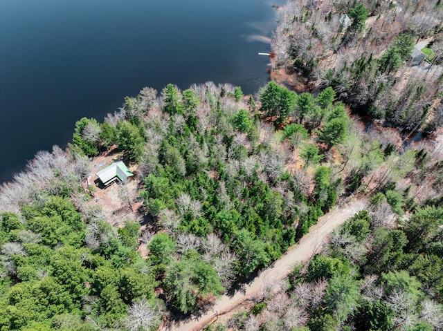 35 Silsby Rd, Mariaville, ME 04605 - photo 1
