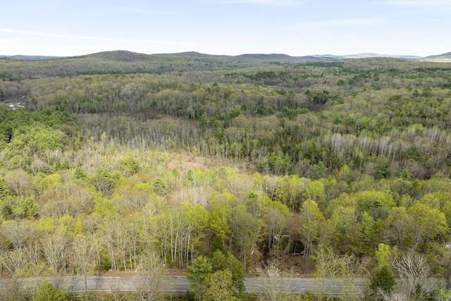 TBD Bond Spring Rd, Newfield, ME 04095 - view of mountain backdrop with a heavily wooded area