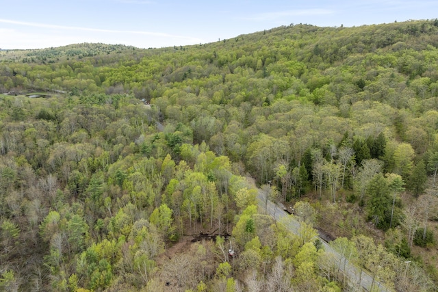 TBD Bond Spring Rd, Newfield, ME 04095 - aerial view of a heavily wooded area