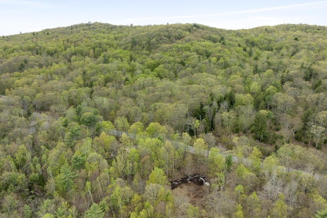 TBD Bond Spring Rd, Newfield, ME 04095 - aerial overview of property's location with a heavily wooded area