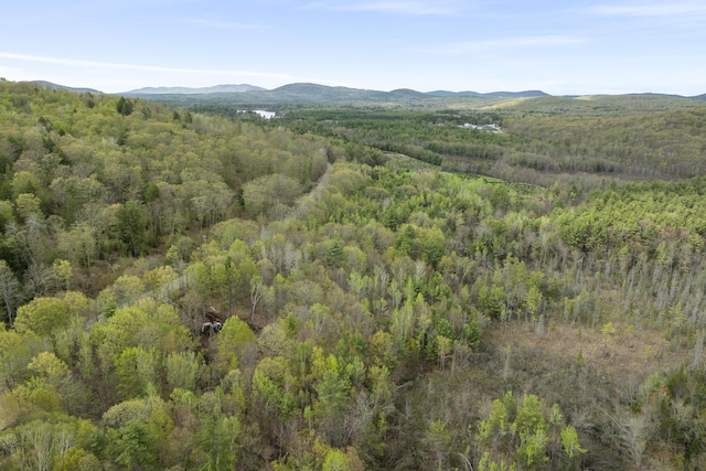 TBD Bond Spring Rd, Newfield, ME 04095 - view of mountain background featuring a heavily wooded area