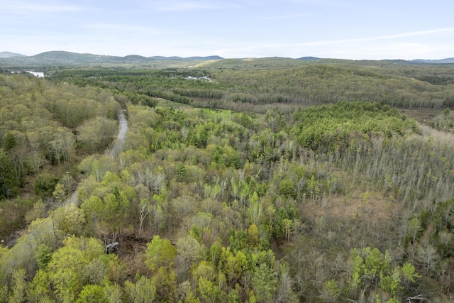 TBD Bond Spring Rd, Newfield, ME 04095 - view of mountain background with a heavily wooded area