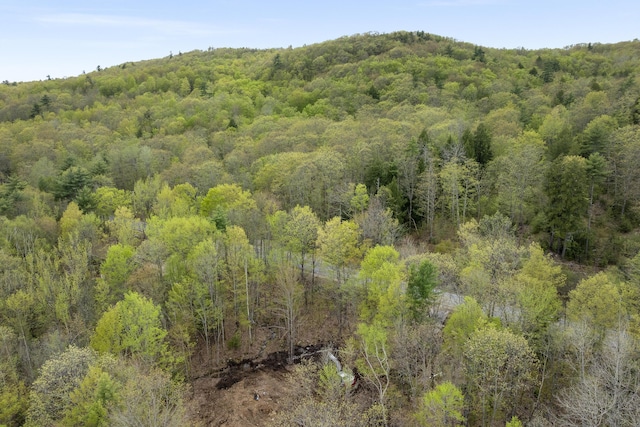 TBD Bond Spring Rd, Newfield, ME 04095 - view of mountain backdrop with a heavily wooded area