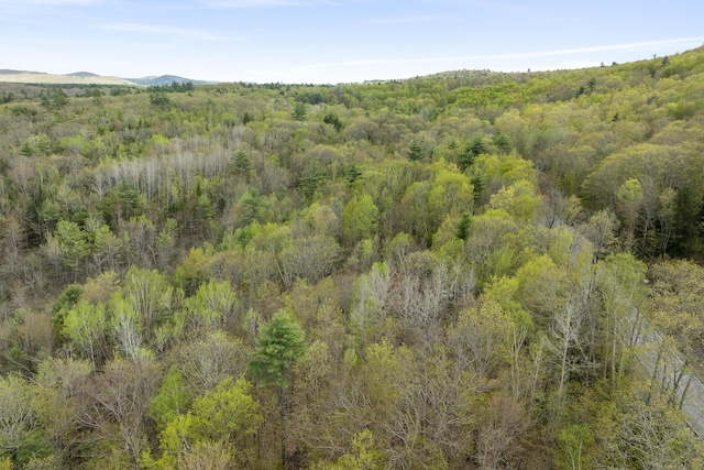 TBD Bond Spring Rd, Newfield, ME 04095 - view of tree filled area featuring a mountain view