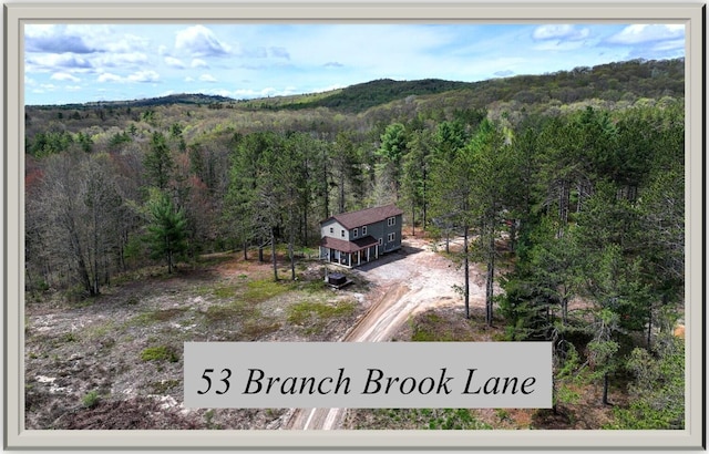 53 Branch Brook Ln, Newfield, ME 04095 - view of mountain background featuring a forest