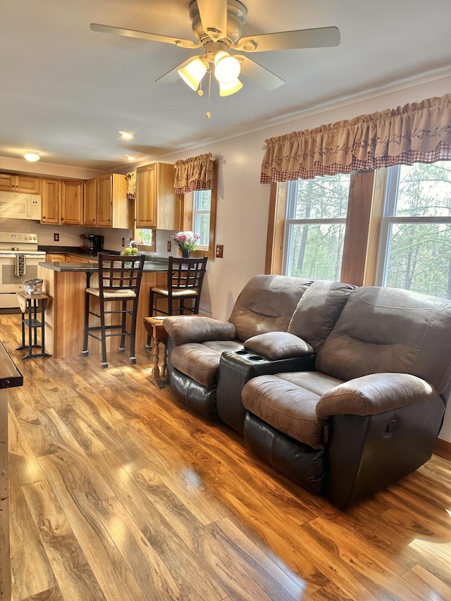 53 Branch Brook Ln, Newfield, ME 04095 - living area with wood finished floors, ceiling fan, and crown molding