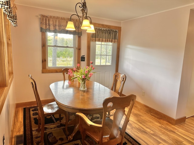 53 Branch Brook Ln, Newfield, ME 04095 - dining room with light wood finished floors, ornamental molding, and baseboards