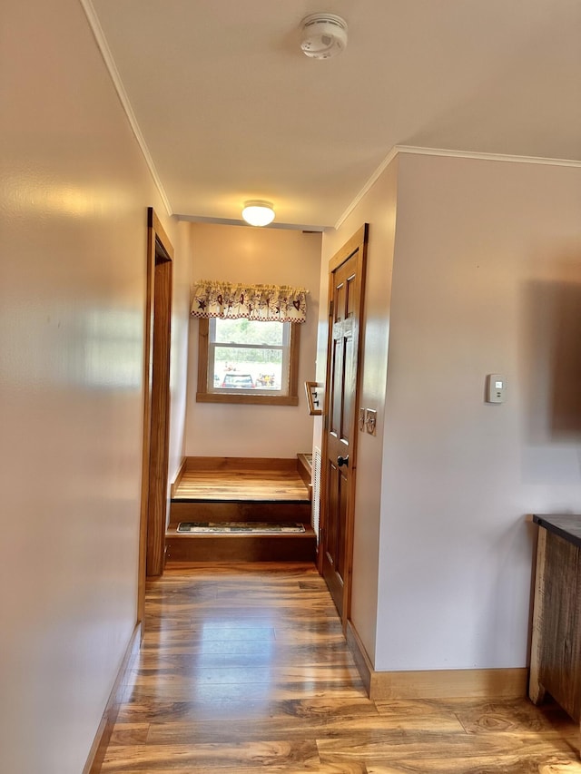 53 Branch Brook Ln, Newfield, ME 04095 - hall featuring crown molding, wood finished floors, and baseboards