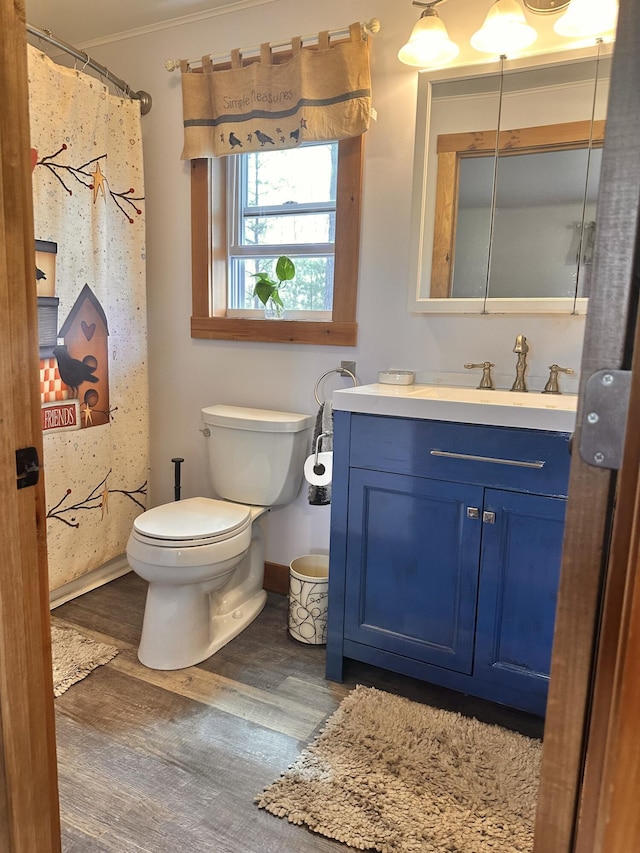 53 Branch Brook Ln, Newfield, ME 04095 - bathroom featuring wood finished floors, toilet, vanity, ornamental molding, and baseboards