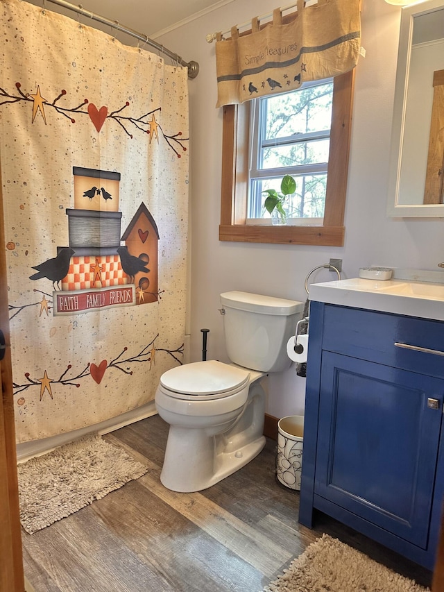 53 Branch Brook Ln, Newfield, ME 04095 - full bathroom with wood finished floors, vanity, toilet, ornamental molding, and a shower with curtain