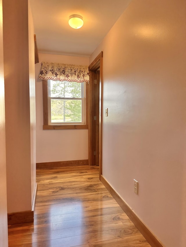 53 Branch Brook Ln, Newfield, ME 04095 - hall featuring wood finished floors and baseboards