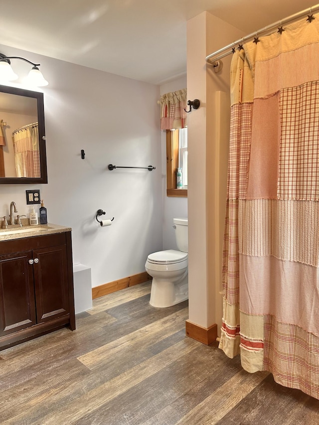 53 Branch Brook Ln, Newfield, ME 04095 - bathroom featuring toilet, vanity, baseboards, and a shower with shower curtain